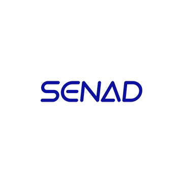 Senad 3D Vision Depalletising Workstation (3D Vision Depalletising Workstation)